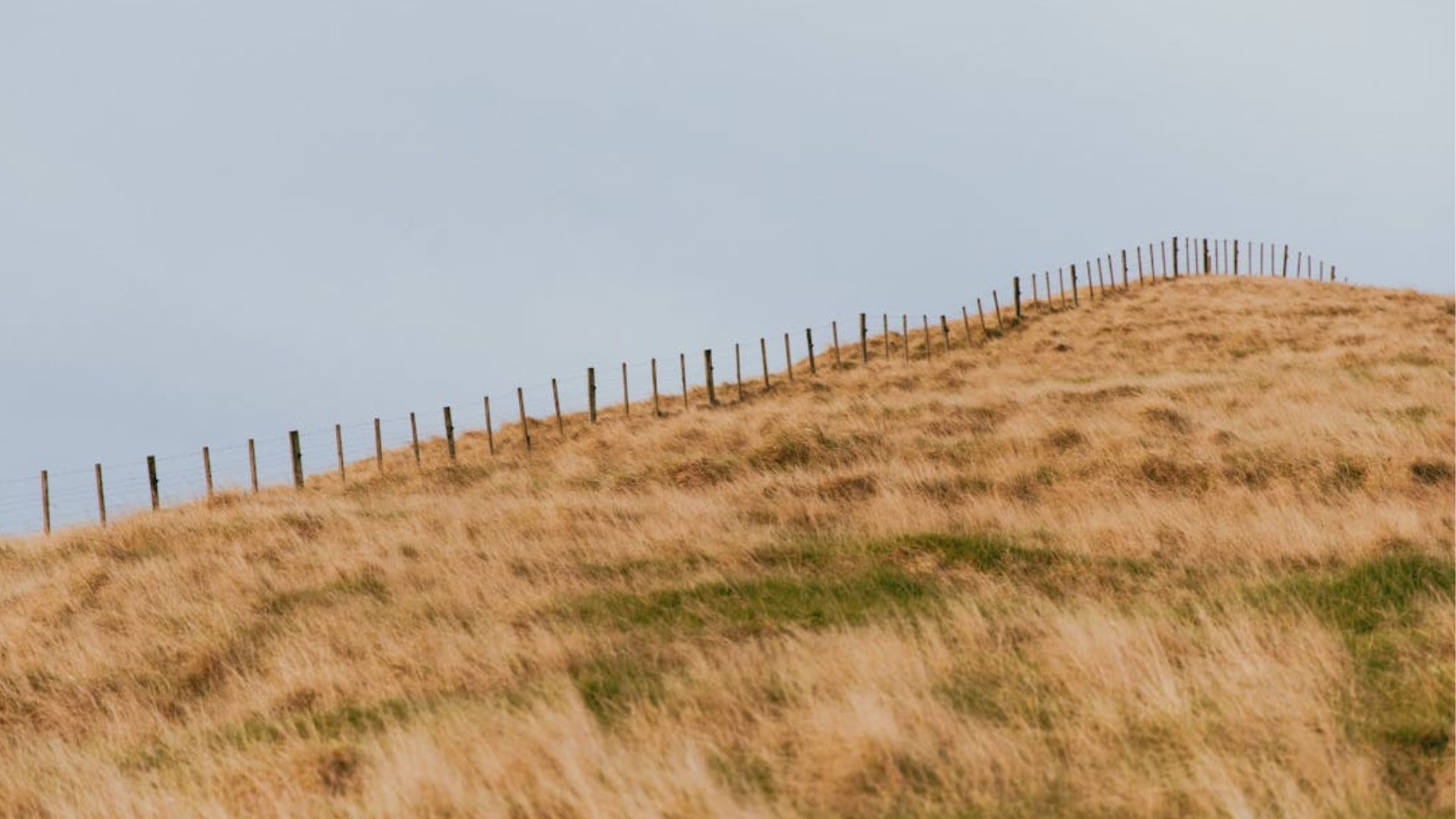 The New Zealand Landscape, View our story.