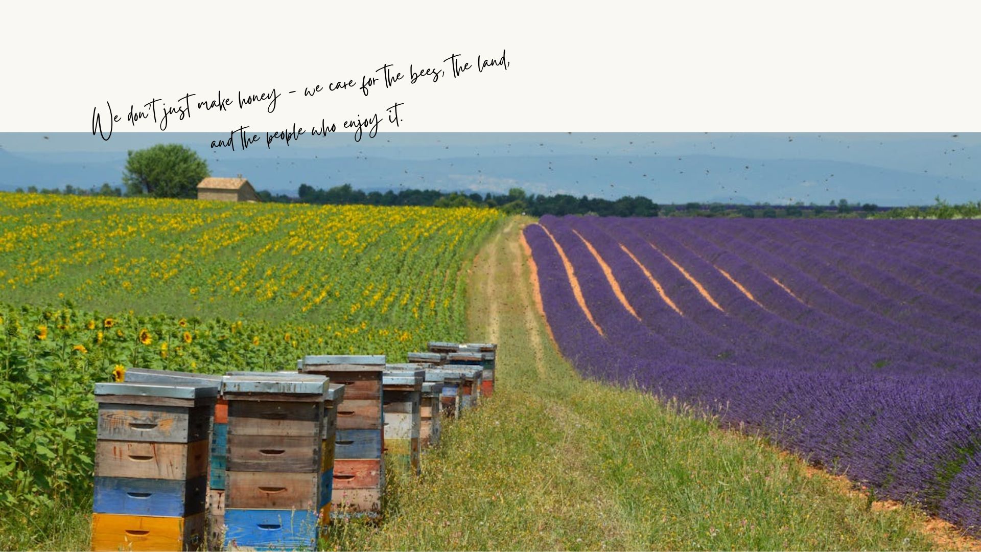 We don’t just make honey - we care for the bees, the land, and the people who enjoy it.